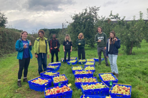 People gathered round crates of apples in a field